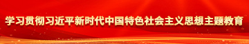 肏黑逼视频网站学习贯彻习近平新时代中国特色社会主义思想主题教育